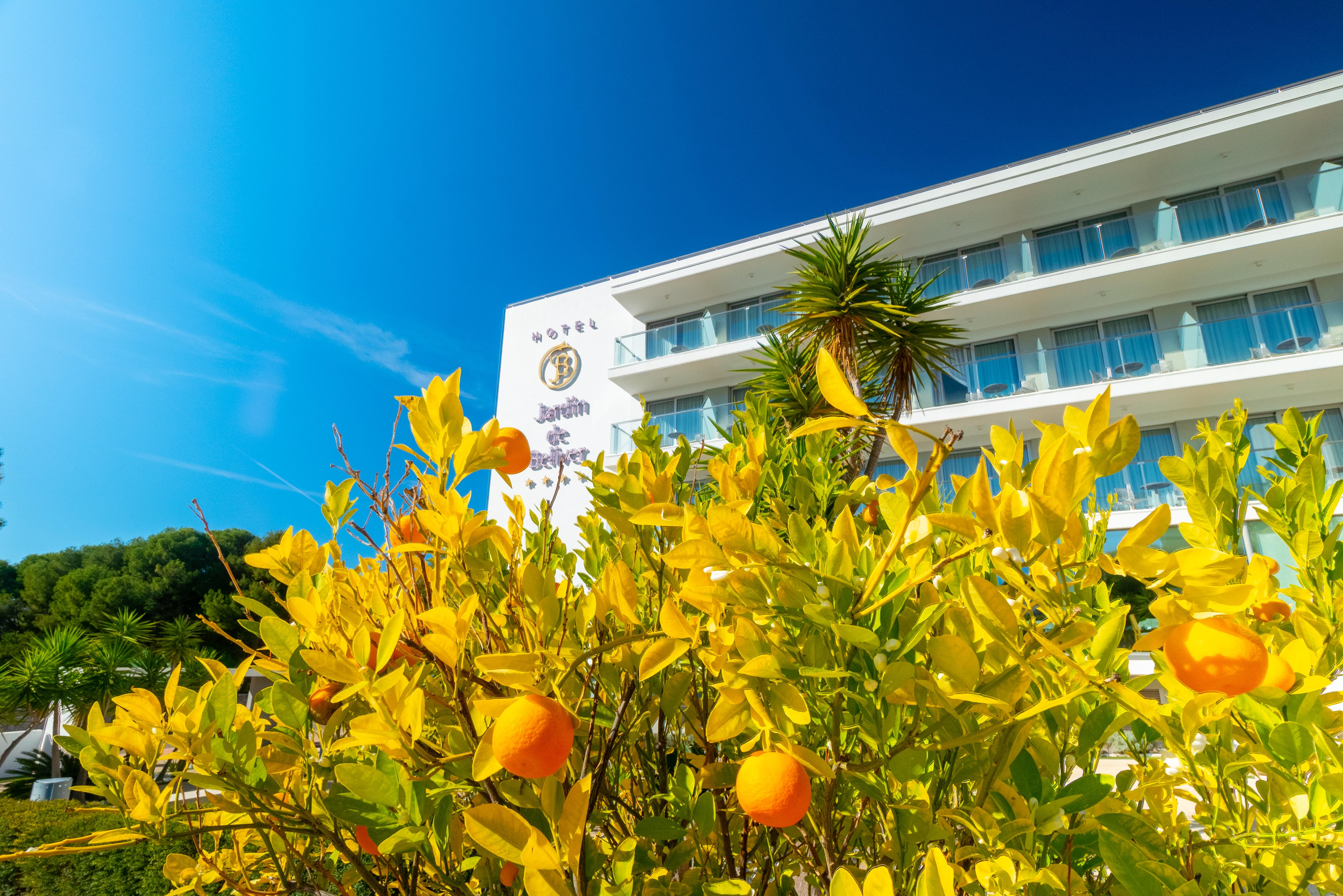 Hotel Jardin De Bellver Oropesa del Mar Eksteriør bilde
